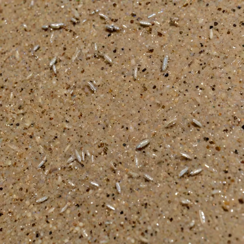 Jak usunąć rybiki z domu? Skuteczne metody na te owady