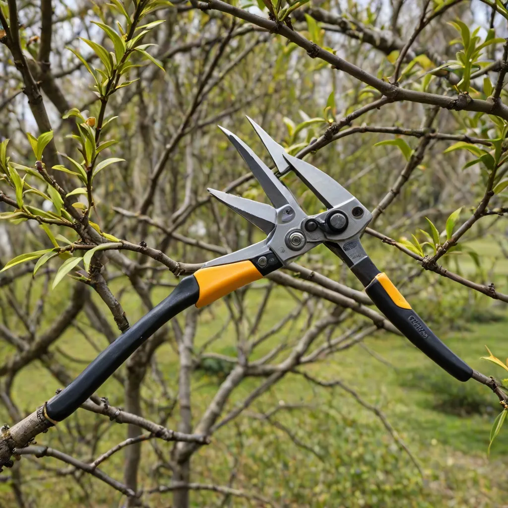 Jak i kiedy przycinać wierzbę Hakuro? Praktyczny poradnik
