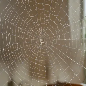 Garść granulowanego nawozu fosforowego na tle żyznej gleby i młodych sadzonek w ogrodzie.